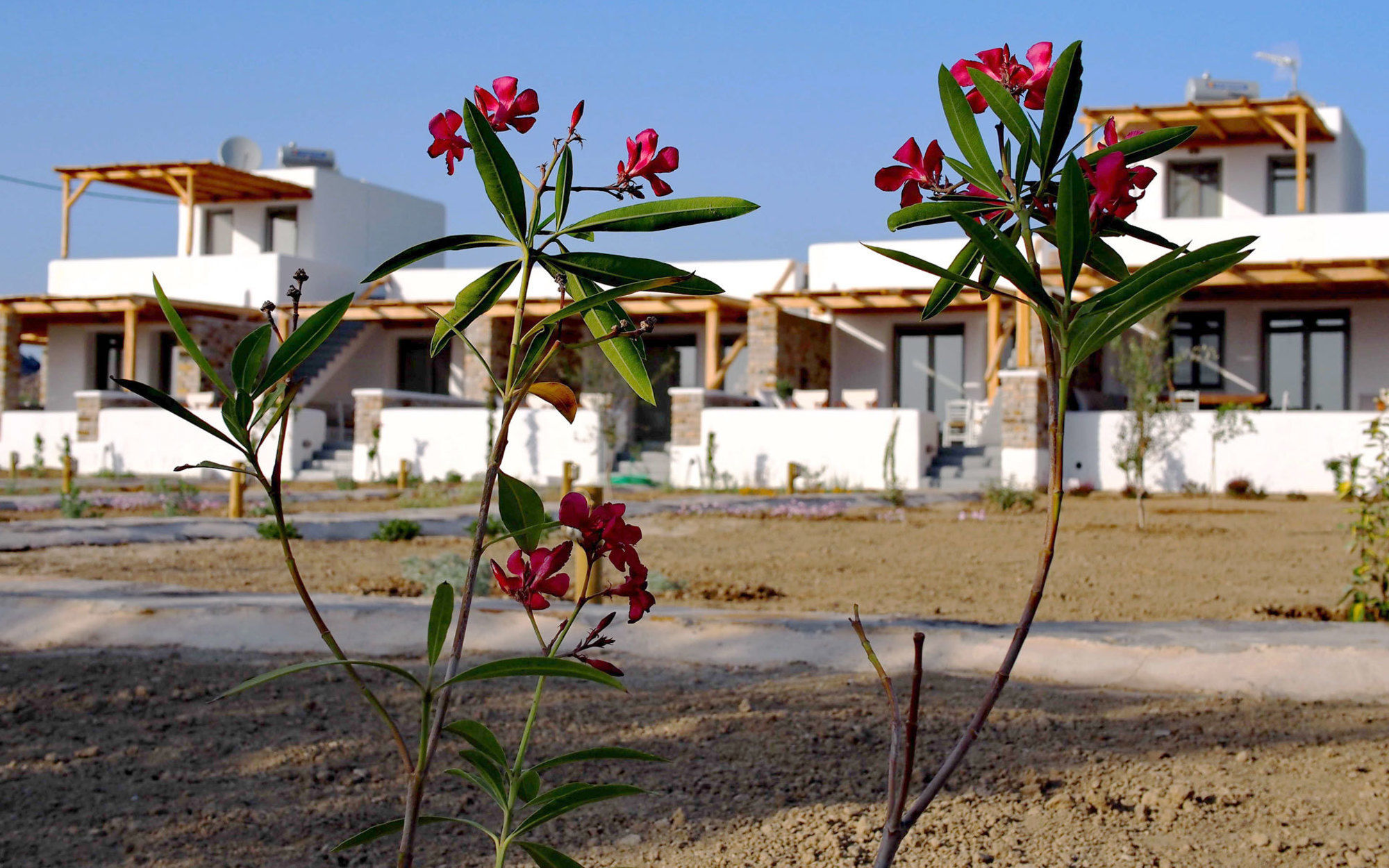 To Armiro Boutique Houses Plaka  Luaran gambar